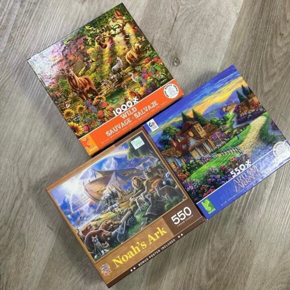 Ceaco 3 Pack Jigsaw Puzzle Bundle Noah Ark Wildlife 550 1000 Pieces Set